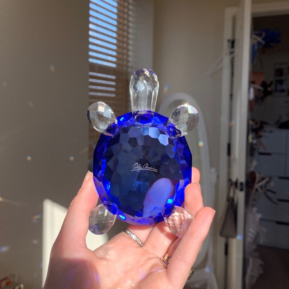 Crystal turtle